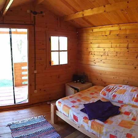 Retezat Retreat - Wood Cabin Clopotiva Dış mekan fotoğraf