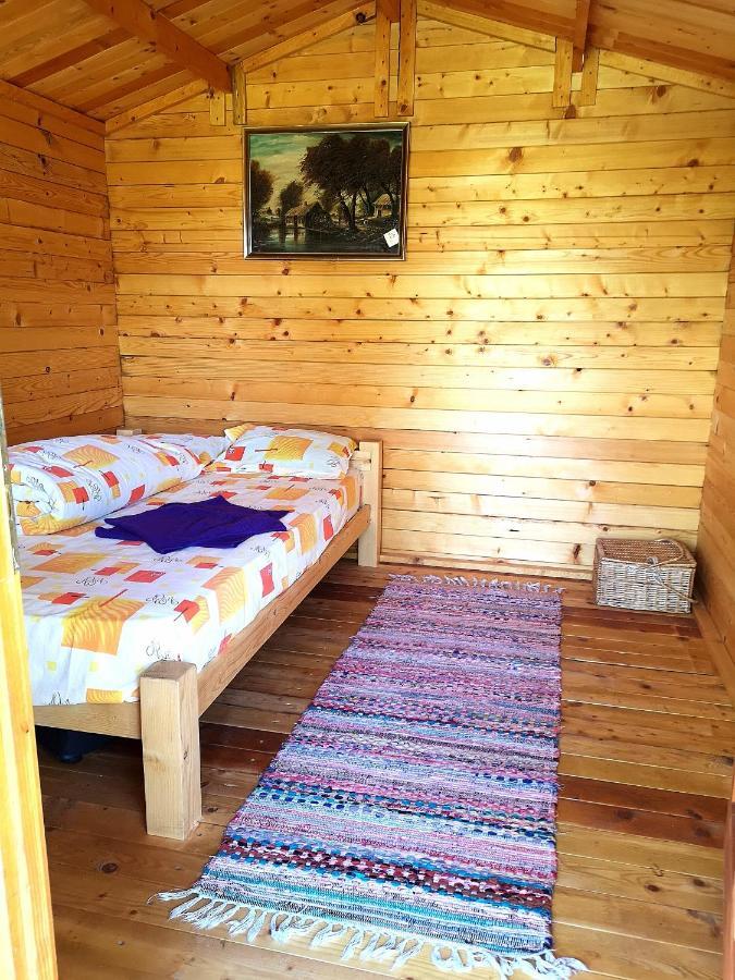 Retezat Retreat - Wood Cabin Clopotiva Dış mekan fotoğraf