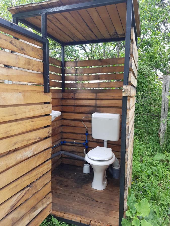 Retezat Retreat - Wood Cabin Clopotiva Dış mekan fotoğraf