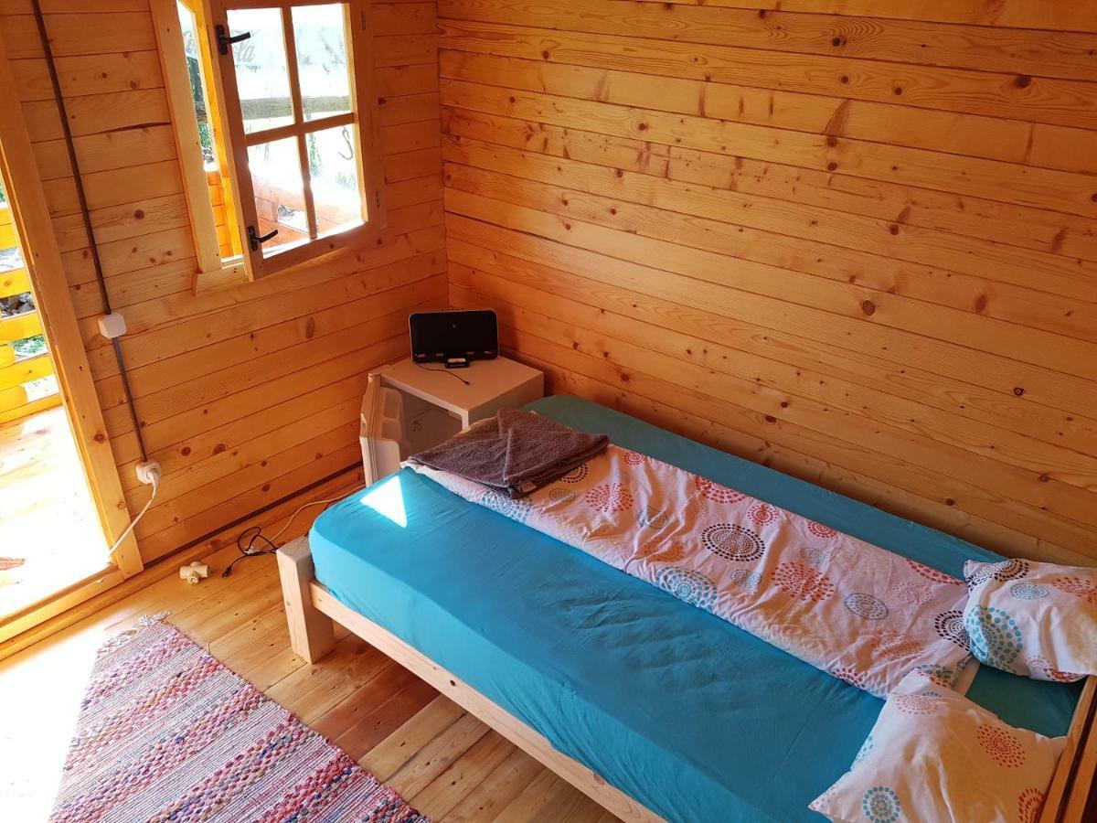 Retezat Retreat - Wood Cabin Clopotiva Dış mekan fotoğraf